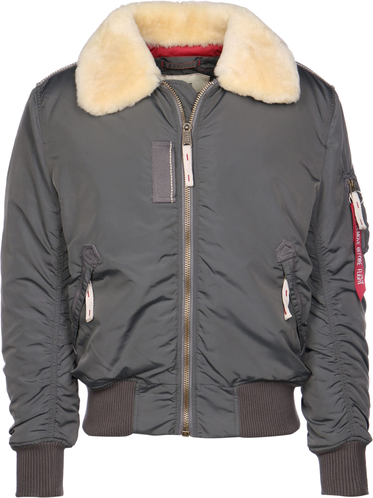 ALPHA INDUSTRIES Zimska jakna 'Injector III'  temno siva