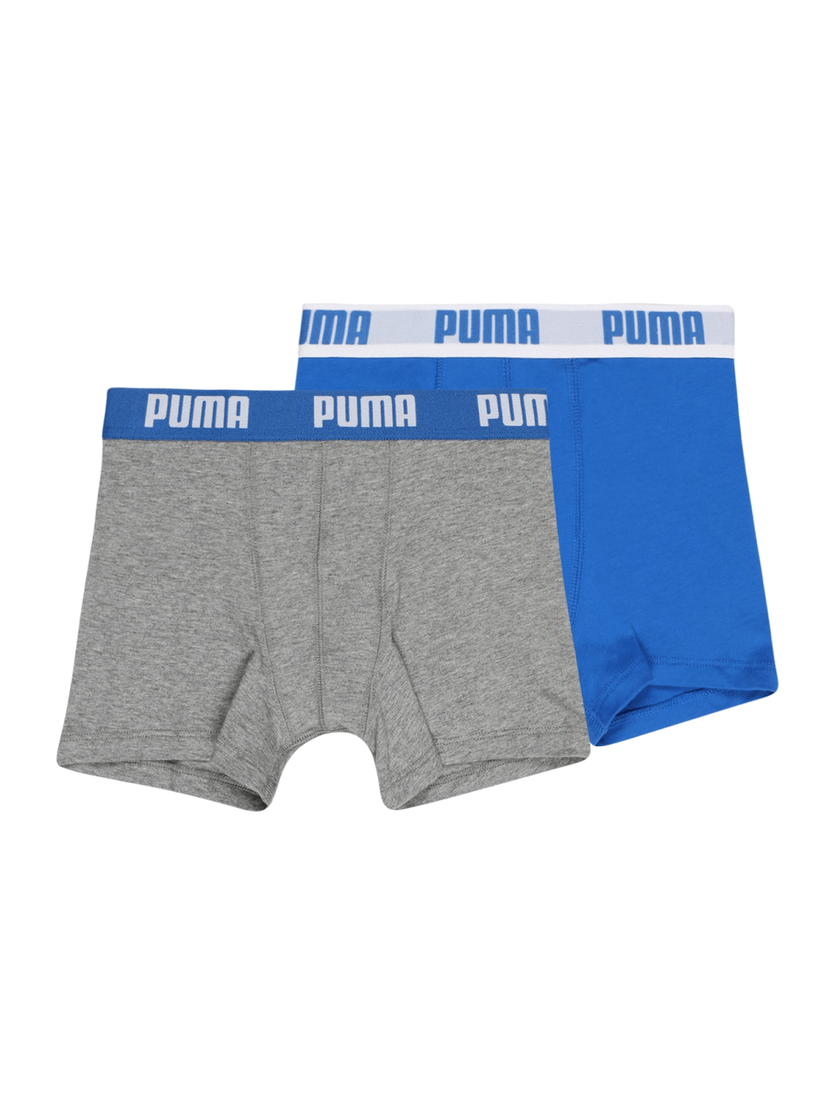 PUMA Spodnjice  nebeško modra / svetlo siva / bela