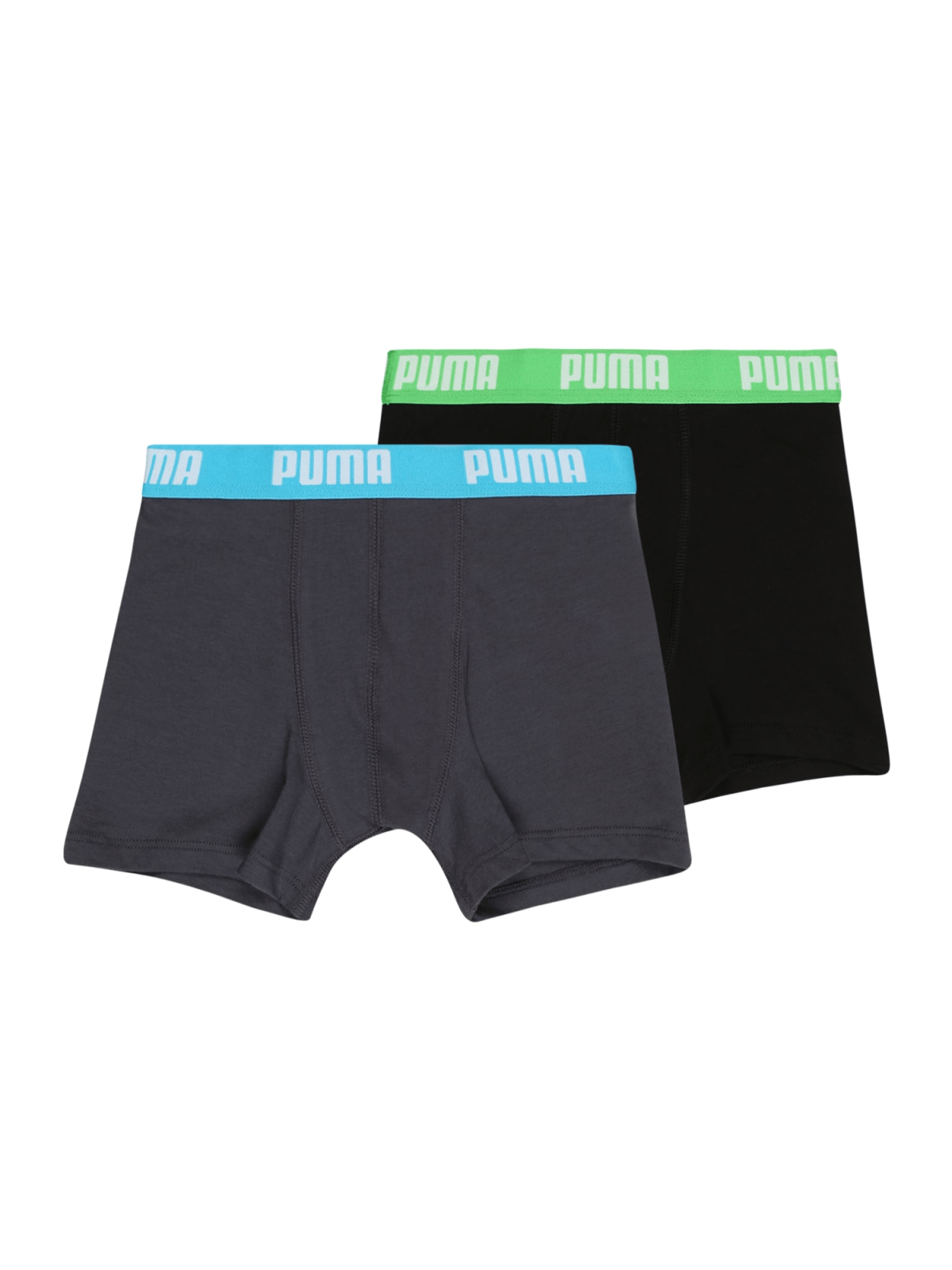 PUMA Spodnjice  voda / golobje modra / siva / svetlo zelena