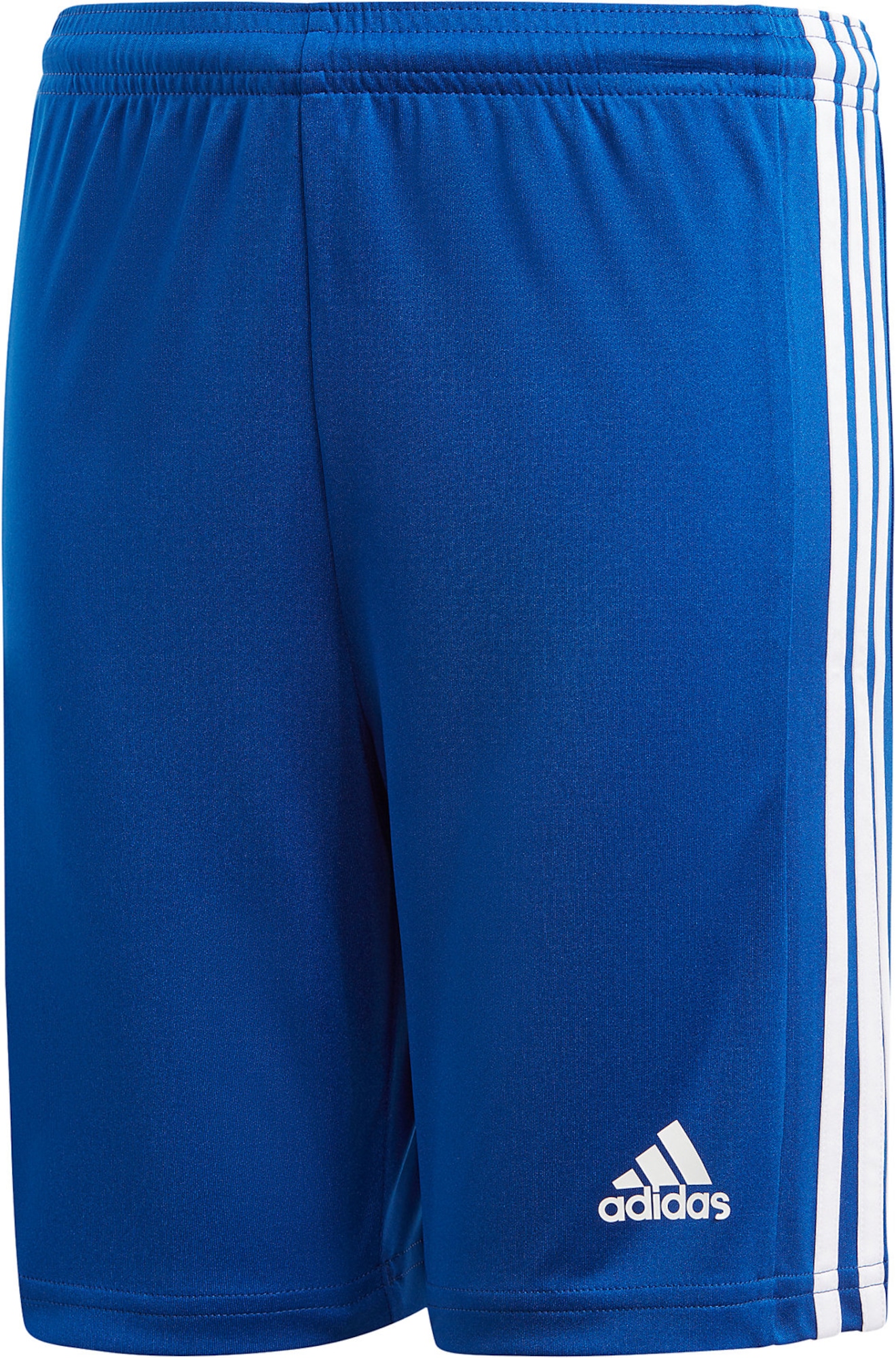 ADIDAS PERFORMANCE Športne hlače  modra / bela