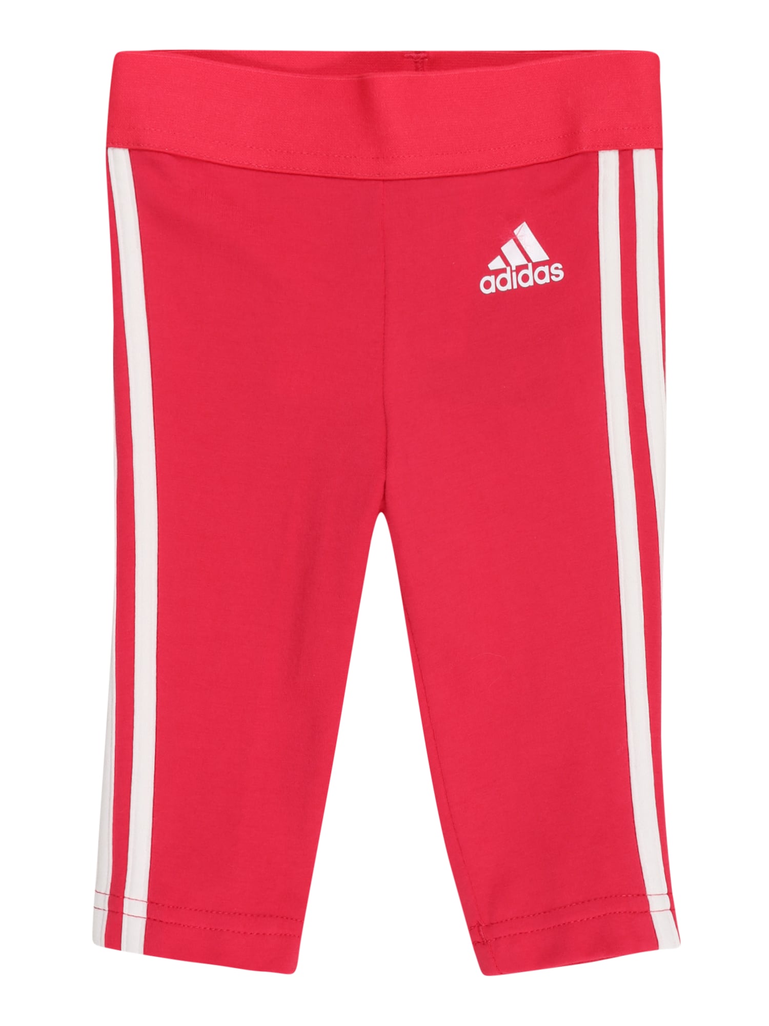 ADIDAS SPORTSWEAR Športne hlače  neonsko roza / bela