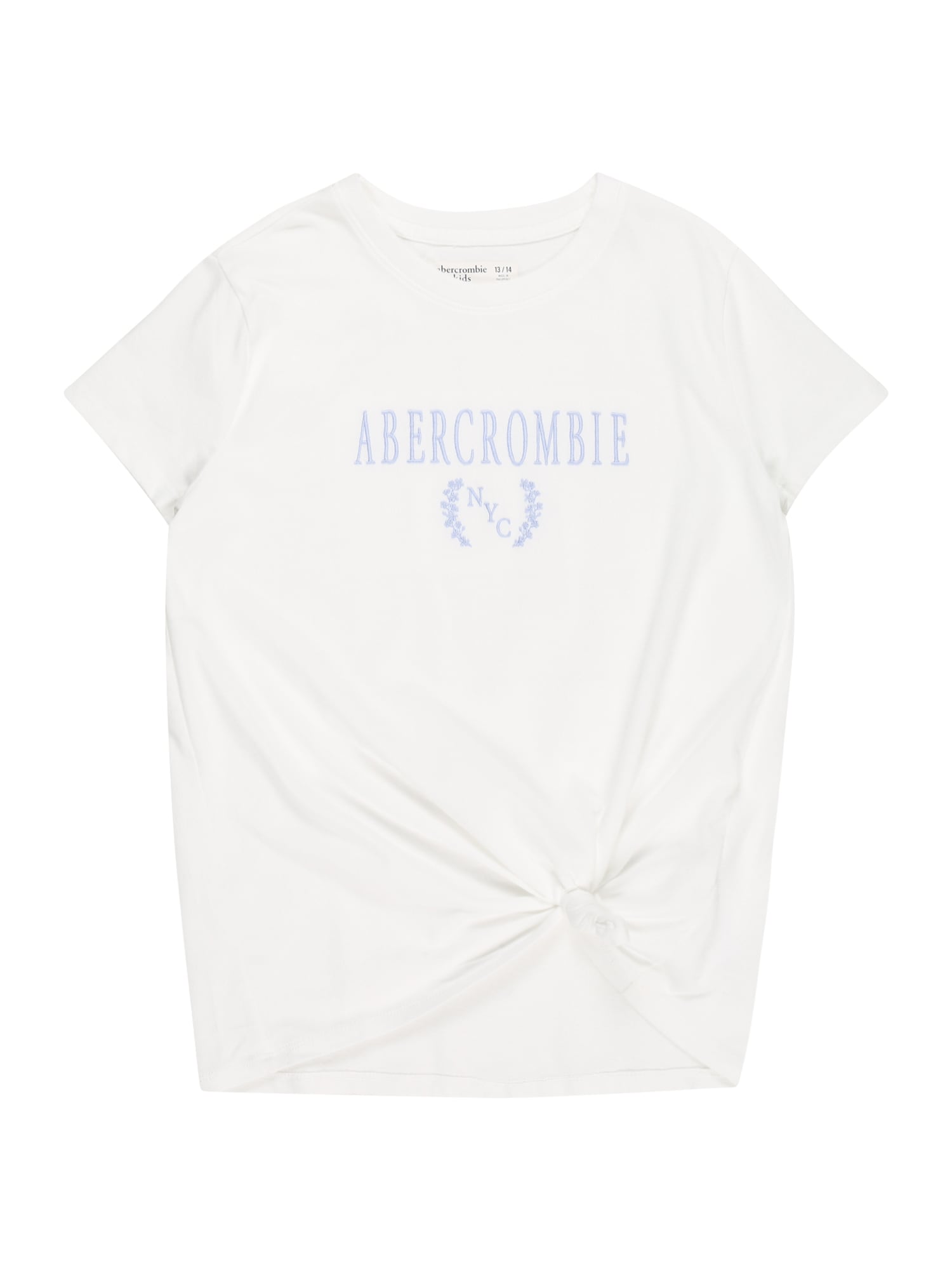 Abercrombie & Fitch Majica  svetlo modra / bela