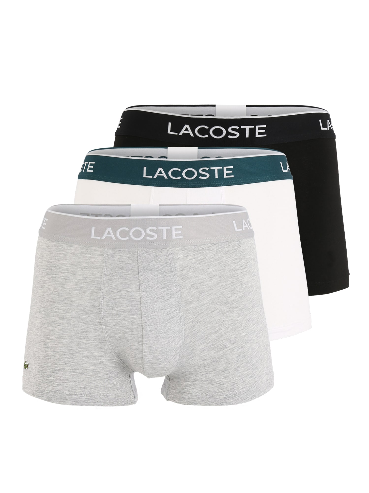 LACOSTE Boksarice  pegasto siva / petrol / črna / bela