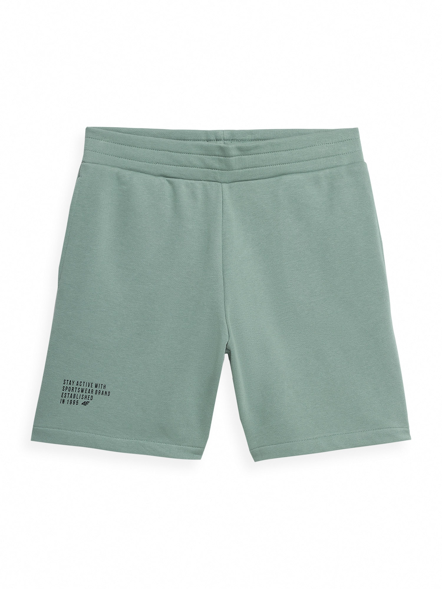 4F Športne hlače 'SKMD015'  zelena