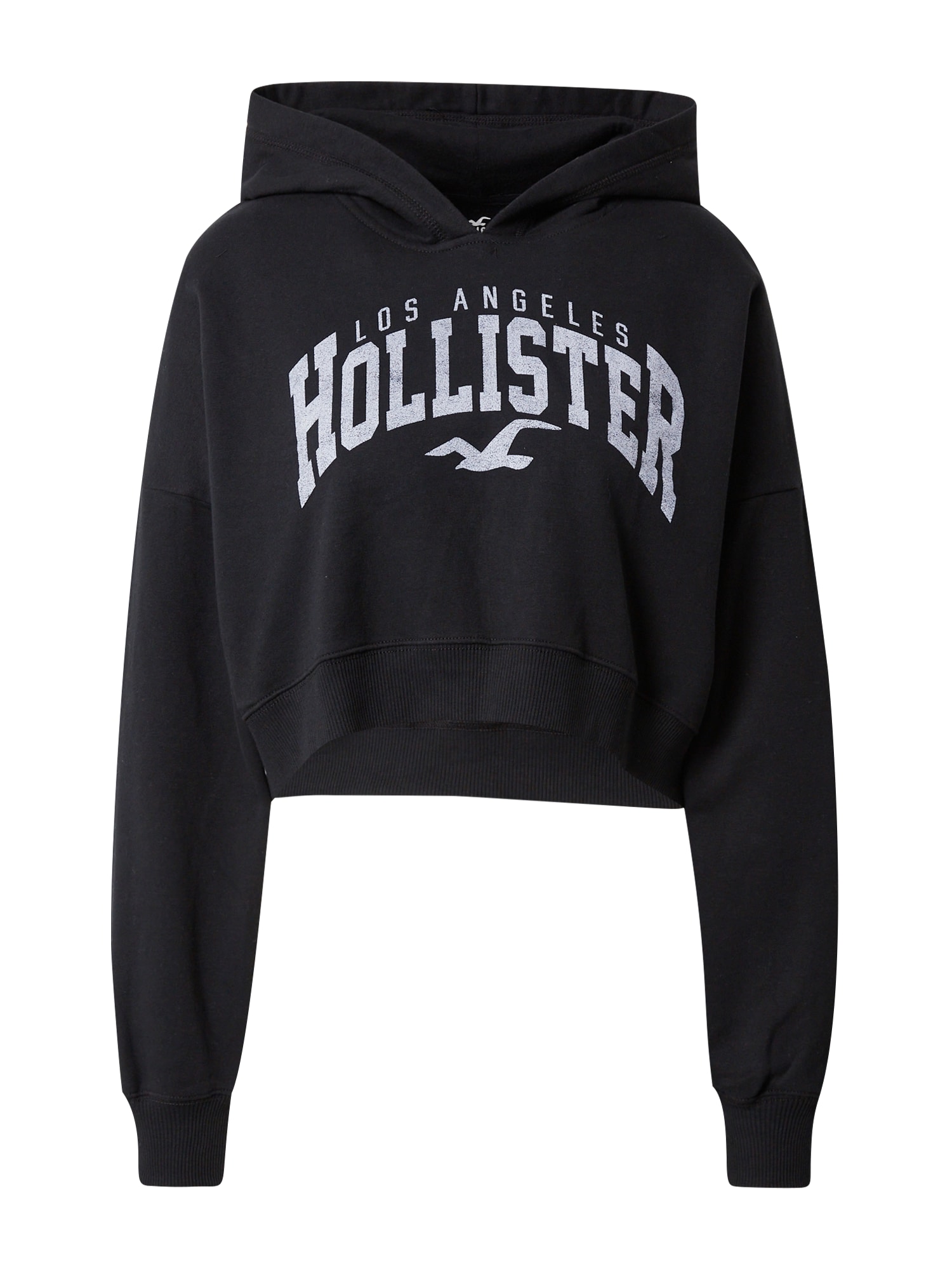 HOLLISTER Majica  črna / bela