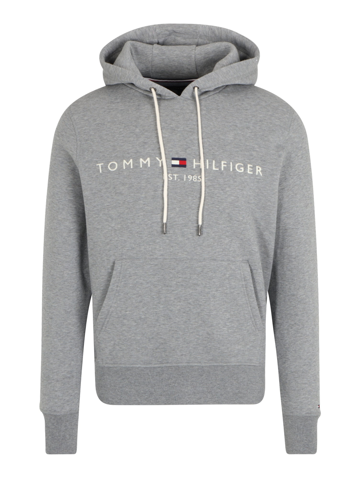 TOMMY HILFIGER Majica  mornarska / siva / rdeča / bela