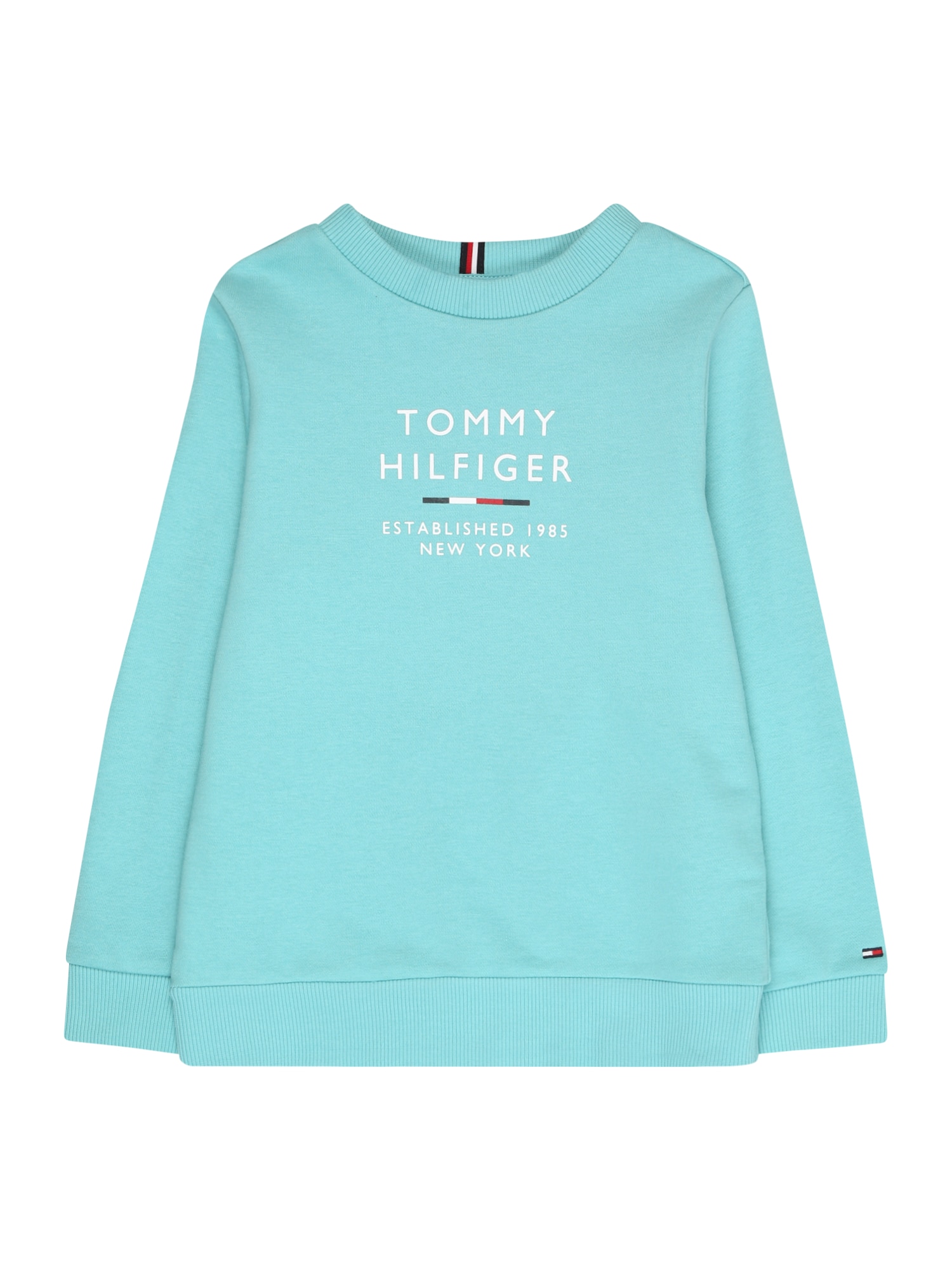 TOMMY HILFIGER Majica  mornarska / voda / rdeča / bela